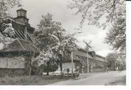 Schönebeck, Elbe, Volksbad Salzelmen, Gradierwerk, PKWs, DDR-Foto-AK, Nicht Gelaufen - Schönebeck (Elbe)