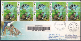 SINGAPORE 2000 First Day Cover Wetland Wildlife , Nature Conservation, Smooth Otter & Archer Fish Registered FDC (**) - Lettres & Documents