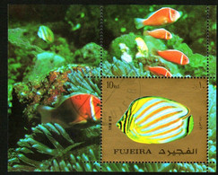 Fujeira CTO MS，1972 Marine Life Fish Tropical Fish - Asia (Other)