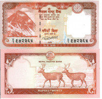 Nepal P-78 20 Rupees 2020 UNC - Népal