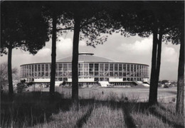 ROMA EUR - PALAZZO DELLO SPORT - 1964 - Exposiciones