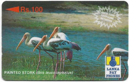 Sri Lanka - Lanka Pay Phones (GPT) - Painted Stork - 29SRLC - 100Rs, Used - Sri Lanka (Ceylon)