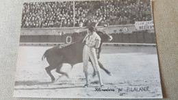 CPSM PHOTO RENAUD ST GILLES GARD ARENES CORRIDA PASSE DE TORERO 305 MANOLEUNA PAR P LALANDE CLUB TAURIN BEZIERS - Stiere