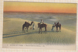 22C2192 SCENES ET TYPES DUNES DE SABLE DU SAHARA - Sahara Occidentale