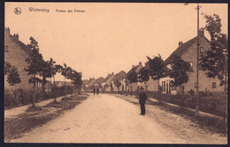 +++ CPA - WINTERSLAG - Avenue Des Chênes  // - Genk