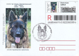 2021.11.06. Dog - Envelo Stamp R Sosnowiec - Special Postmark - POWA - Lettres & Documents