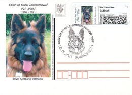 2021.11.06. Dog - Envelo Stamp Sosnowiec - Special Postmark - POWA - Briefe U. Dokumente