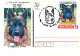 2021.11.06. Dog - Personalized Stamp - Special Postmark - POWA - Lettres & Documents