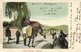 Bolivia, LA PAZ, Indio Paceño Indian On Donkey (1908) Postcard - Bolivie