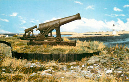 CPSM Saint Pierre Et Miquelon-La Pointe Aux Canons   L1837 - Saint-Pierre-et-Miquelon