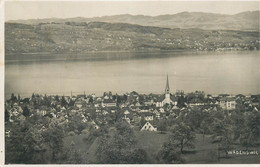 Wädenswil Panorama - Wädenswil