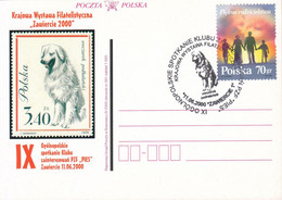 2000.06.11. Dog - Special Postmark - POWA - Lettres & Documents