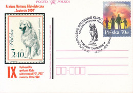 2000.06.11. Dog - Special Postmark - POWA - Lettres & Documents