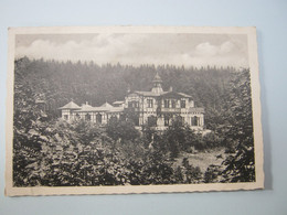 MEERANE , Gasthof  ,  Schöne Karte  Um 1940 - Meerane