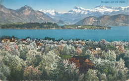 Switzerland Postcard Meggen Und Die Alpen 1922 - Meggen