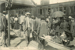 Lourdes * Le Train Transportant Des Malades * La Gare * Ligne Chemin De Fer - Lourdes