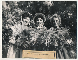 FRANCE - Fête Du Mimosa à Saint-Raphaël / La Côte D'Azur Vit Dans Les Fleurs Et La Joie ... - Anonymous Persons