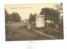 My Lez Hamoir  Donjon Du Vieux Château - Hamoir