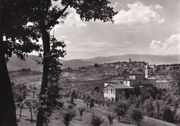 A19812 - AREZZO BIBBIENA BASILICA SANTUARIO S MARIA DEL SASSO NELLO SFONDO BIBBIENA ITALY POST CARD UNUSED - Arezzo