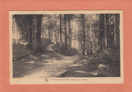 FORET DE SOIGNES - VALLON DE LA SOURDINE - NEUVE - Bossen, Parken, Tuinen