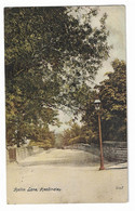 Postcard, Yorkshire, Leeds, Headingley, Hollin Lane, Street, Road, 1905. - Leeds