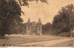 Brasschaat - Kasteel - Château De Ter Borght - Brasschaet - Brasschaat