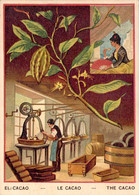 Lot 3 Images Bon-point Illustrés Sur Les Produits Agricoles Blé Cidre Cacao Avec Descriptif - Autres & Non Classés