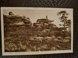 CARTE WANGENBOURG Les Rochers Du Schneeberg - La Petite Pierre