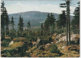 Fichtelgebirge, Marktredwitz, Bayern - Marktredwitz