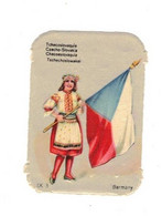 Image Gaufrée Chicorée Mokta Williot IX 3 Germany Pays Tchecoslovaquie Tchèque Drapeau Flag Bandiera 4,1 Cm X 5,8 Cm - Other & Unclassified