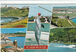 SCARBOROUGH MULTI VIEW - Scarborough