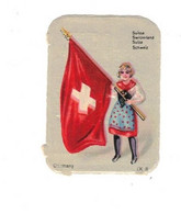 Image Gaufrée Chicorée Mokta Williot IX 8 Germany Pays Suisse Switzerland Schweiz Drapeau Flag Bandiera 4,1 Cm X 5,8 Cm - Autres & Non Classés