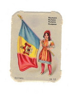 Image Gaufrée Chicorée Mokta Williot IX 12 Germany Pays Roumanie Rumania Drapeau Flag Bandiera 4,1 Cm X 5,7 Cm TB.Etat - Other & Unclassified