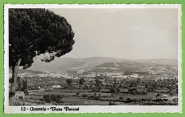 Gouveia - Vista Parcial. Guarda. Portugal (Fotográfico) - Guarda