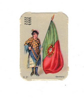 Image Gaufrée Chicorée Mokta Williot IX 21 Germany Portugal Drapeau Flag Bandiera 4,1 Cm X 5,8 Cm TB.Etat - Autres & Non Classés