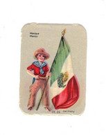 Image Gaufrée Chicorée Mokta Williot IX 24 Germany Mexique Mexico Drapeau Flag Bandiera 4,1 Cm X 5,8 Cm TB.Etat - Other & Unclassified