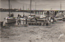 Cpsm 9x14 (85) L'AIGUILLON-sur-MER. Mise En Paniers Des Moules - Autres & Non Classés