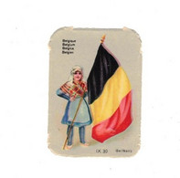 Image Gaufrée Chicorée Mokta Williot IX 30 Germany Belgique Belgium Belgica Drapeau Flag Bandiera 4,1 Cm X 5,7 Cm TB.E - Other & Unclassified