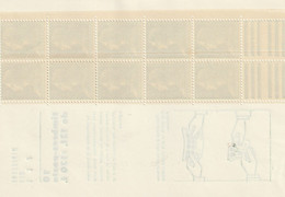 Carnet Muller YV 1010-C1 N** Non Plié , Cote 50 Euros PORT OFFERT - Anciens : 1906-1965