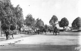 44-NOSAY- LE CHAMP DE FOIRE - Sonstige & Ohne Zuordnung