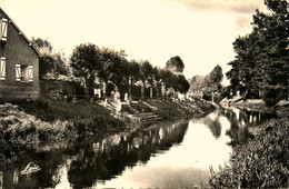 Malestroit * écluses Et Promenade Au Bord De L'oust * Canal - Malestroit