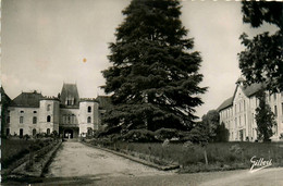 St Privat Des Prés * Le Sanatorium De La Meynardie * Vue D'ensemble , Entrée Principale Du Château - Autres & Non Classés