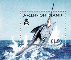 Ascension Island - Y&T BF N°53 - Blue Marlin - Ascension (Ile De L')