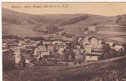 ALLEMAGNE.CPA. GEISING.  I. SACHS ERZGEB . VUE GENERALE - Geising