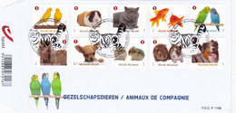 GEZELDSCHAPSDIEREN - 2011-2014