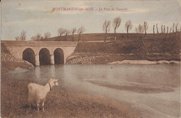 50 MONTMARTIN SUR MER - Pont Passevin Chevre Goat - Montmartin Sur Mer