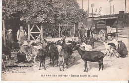 91 Juvisy-sur-Orge - A La Gare - Les Amis Des Chèvres - Elevage Caprin De Juvisy  Chevre Goat - Juvisy-sur-Orge