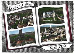 Souvenir De MONTCUQ - Montcuq