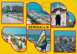Senigallia - Formato Grande Viaggiata – FE390 - Senigallia
