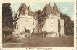 5005 CPA Cerizay - Château Du Puy Genêt - Cerizay